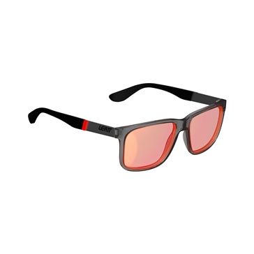LEATT Lunette de soleil Theviz Sierra Gris