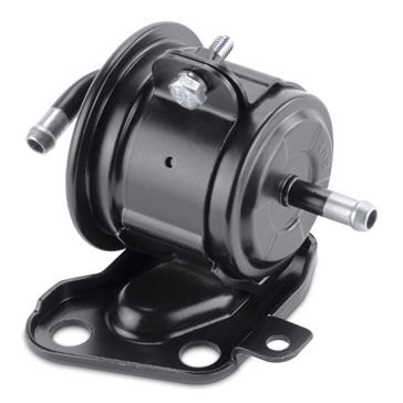 Sierra Filtre à essence