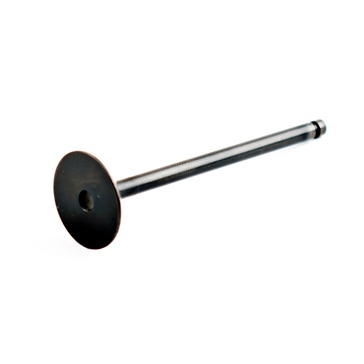WSM Exhaust Valve