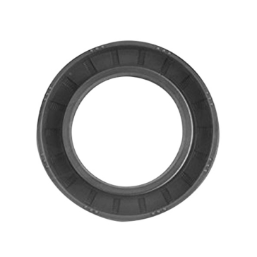 WSM CrankShaft Oil Seal Kit