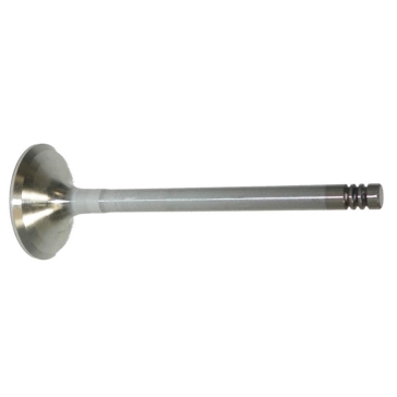 WSM Exhaust Valve