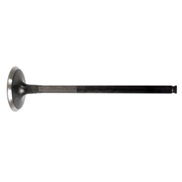 WSM Exhaust Valve