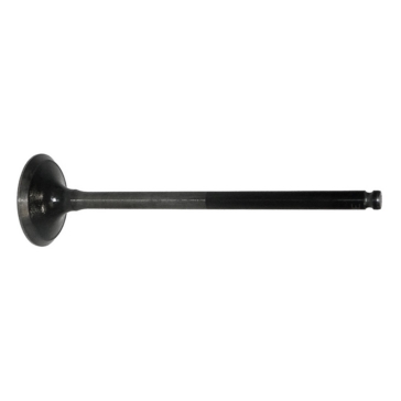 WSM Intake Valve