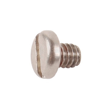 BRP Evinrude Screw