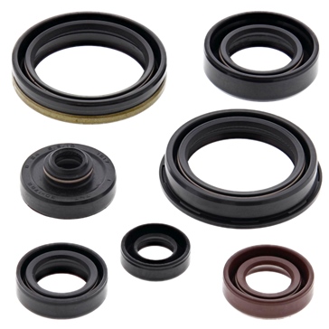 BRP Evinrude Bearings