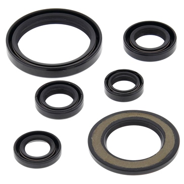BRP Evinrude Bearings
