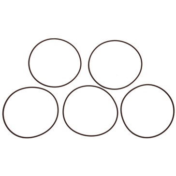 BRP Evinrude Joint torique de cylindre Johnson/Evinrude, OMC