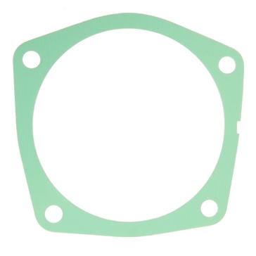 BRP Evinrude Shim Bearing