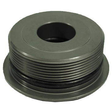 BRP Evinrude O-Ring & Cap