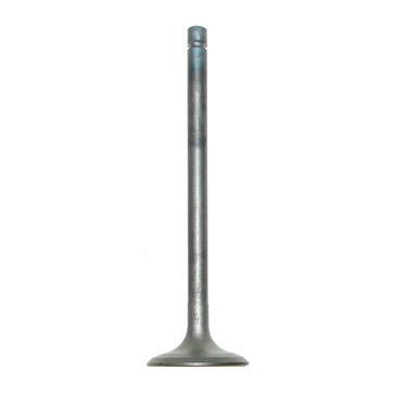 WSM Soupape d'échappement