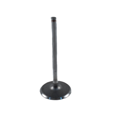 WSM Soupape d'admission Can-am